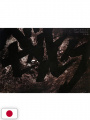 Berserk - L'epoca d'oro Artbook: Backgrounds - Edizione Giapponese