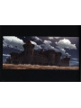 Berserk - L'epoca d'oro Artbook: Backgrounds - Edizione Giapponese
