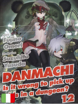 DanMachi Light Novel 12