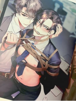 Hon Toku Illustration Book: IDEAL - Edizione Giapponese