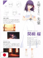 Fate/Stay Night [Heaven's Feel] - Anime Visual Guide Book