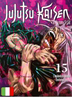 Jujutsu Kaisen 15