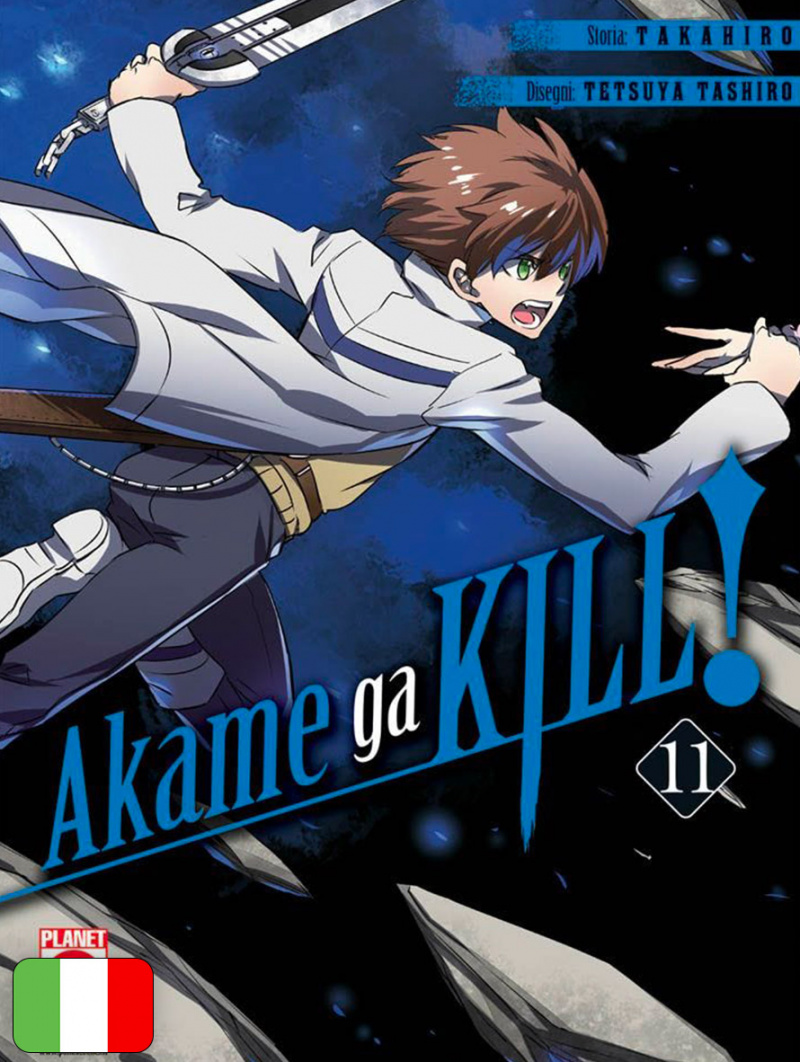 Akame ga kill! 11