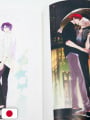 Meguru Hinohara Illustrations - DARLING! - Edizione Giapponese