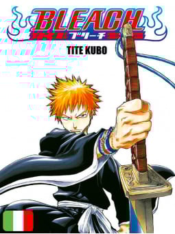 Bleach 1