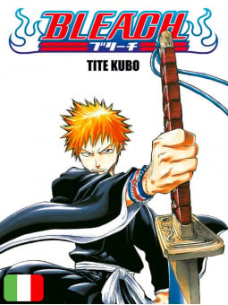 Bleach 1