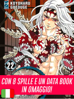 Demon Slayer 22 Limited Edition