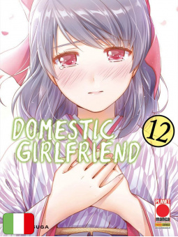 Domestic Girlfriend 12