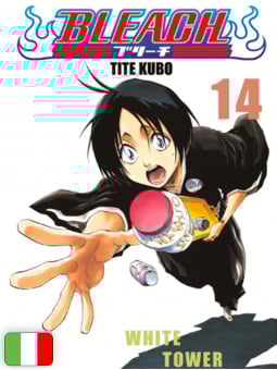 Bleach 14