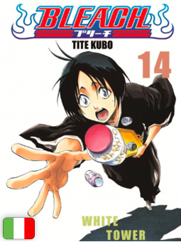 Bleach 14