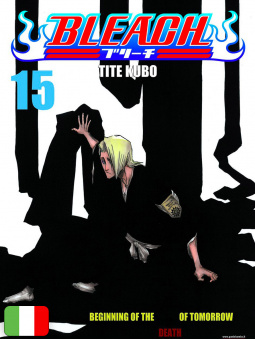 Bleach 15