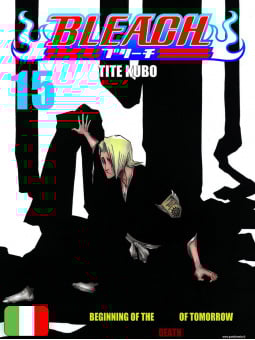Bleach 15