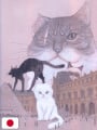 TAIYOU - Self-Selected Art Collection - Edizione Giapponese
