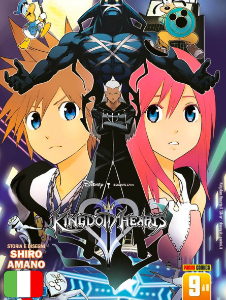 Kingdom Hearts II Silver 9