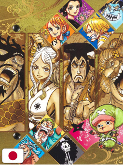 One Piece: Vivre Card Databook (New Starter Set Vol.1) + Raccoglitore