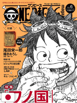 One Piece Magazine 6