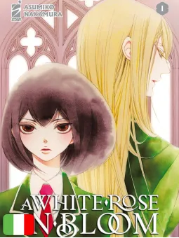A White Rose In Bloom 1