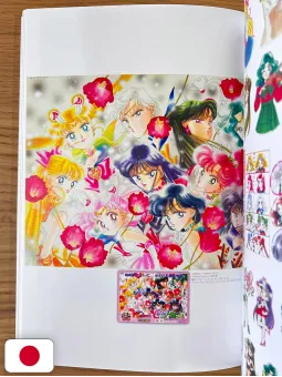 Pretty Guardian Sailor Moon Raisonné Art Works 1991-2023 - Edizione Giapponese