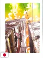 Kozue Amano Illustration Works 4 - Birth - Edizione Giapponese
