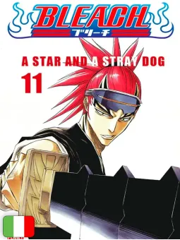 Bleach 11