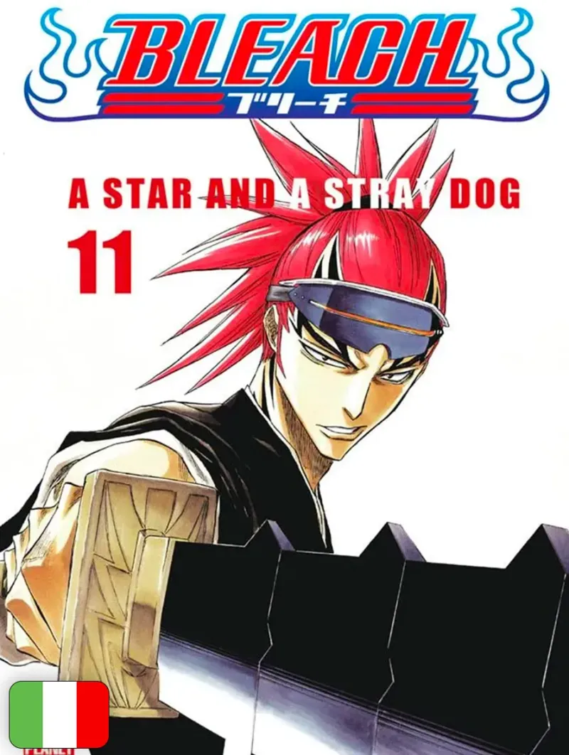 Bleach 11