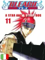 Bleach 11