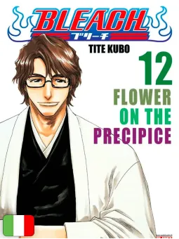 Bleach 12