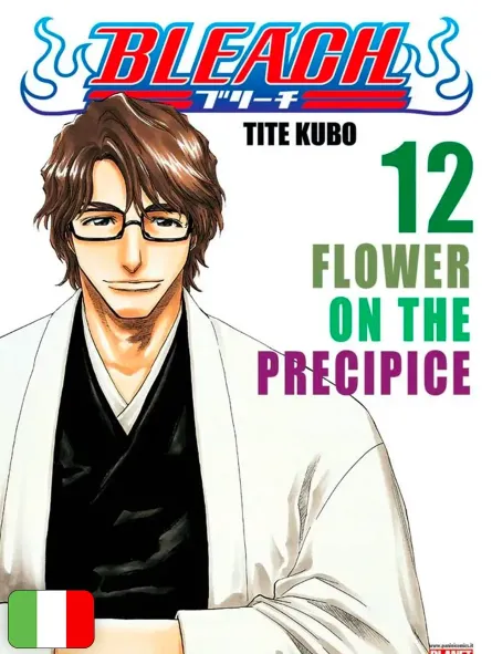 Bleach 12 Bleach 12