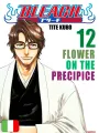 Bleach 12