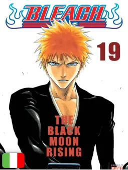 Bleach 19