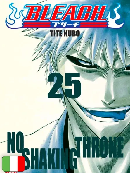 Bleach 25