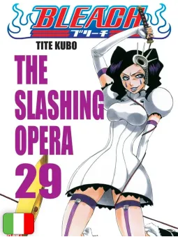 Bleach 29