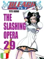 Bleach 29