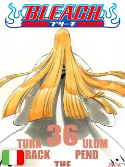 Bleach 36