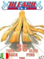 Bleach 36