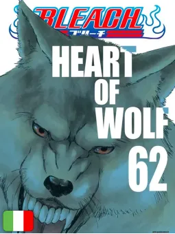 Bleach 62