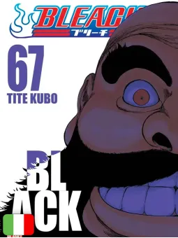 Bleach 67