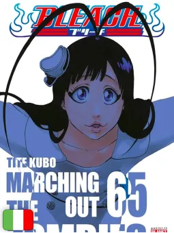 Bleach 65