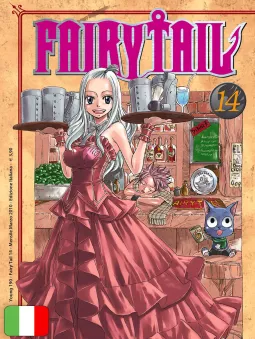 Fairy Tail 14