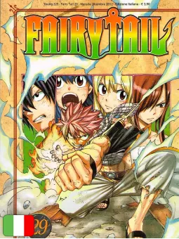 Fairy Tail 29