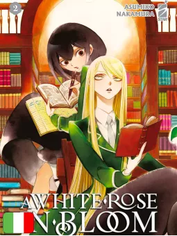 A White Rose In Bloom 2