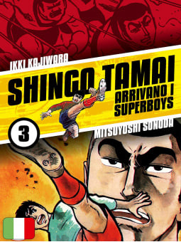 Arrivano i Superboys 3