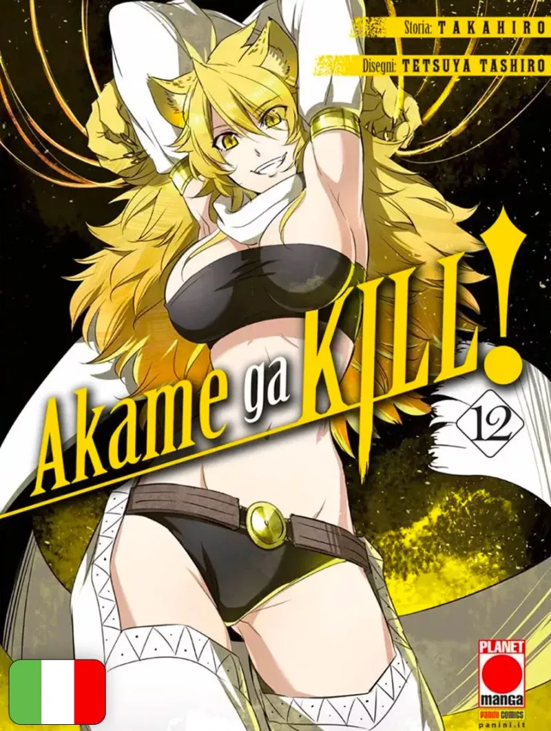 Akame ga kill! 12