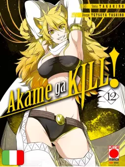 Akame ga kill! 12