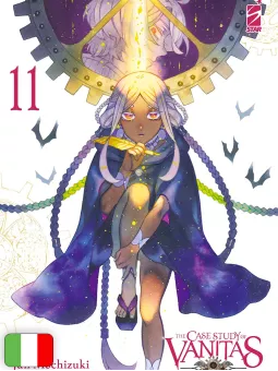 The Case Study Of Vanitas 11