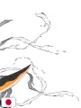 Demon Slayer - Kimetsu no Yaiba: Illustration Records 3 - Edizione Giapponese