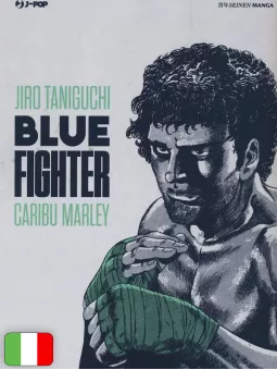 Blue Fighter