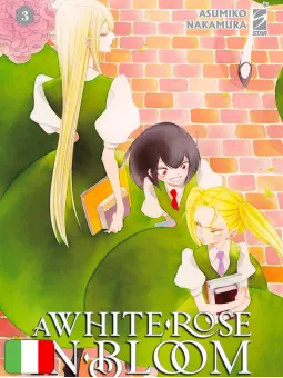 A White Rose In Bloom 3
