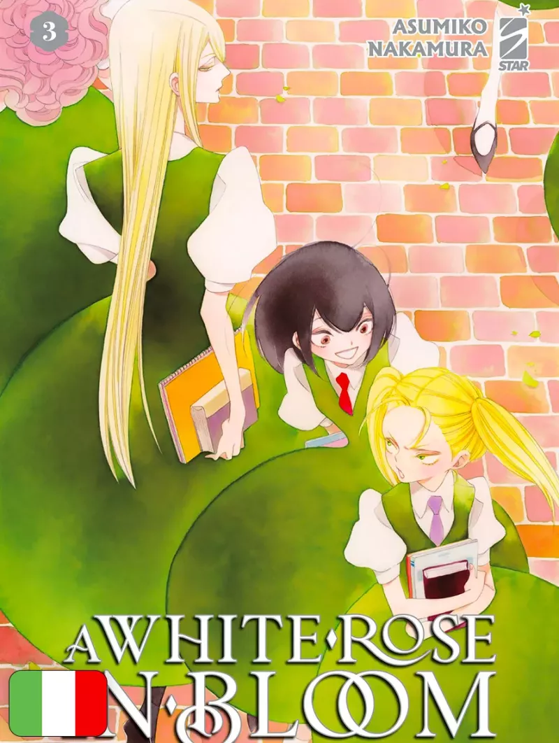A White Rose In Bloom 3