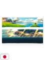 Painting the Worlds of Studio Ghibli Artbook - Edizione Giapponese